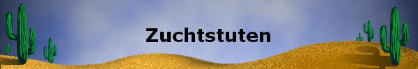 Zuchtstuten
